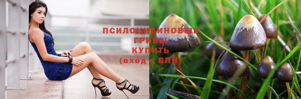 PSILOCYBIN Железногорск-Илимский