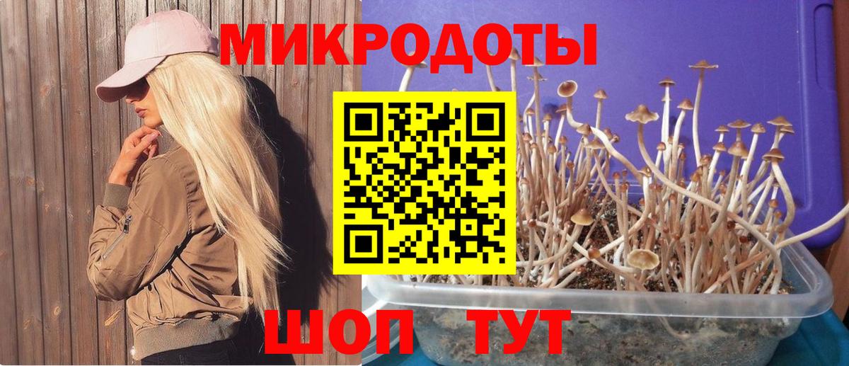 Галлюциногенные грибы GOLDEN TEACHER Карпинск