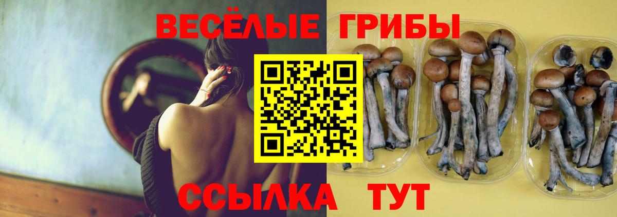 Псилоцибиновые грибы Magic Shrooms  Вход с VPN  Карпинск 